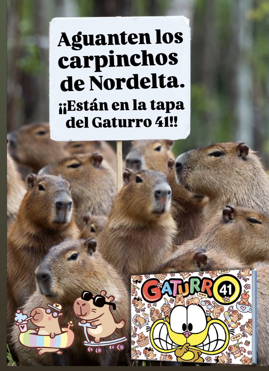 #BuenMartes Salvemos a los carpinchos de Nordelta!!! Bertolotti tiene razón!!! Por eso todos los carpinchos de Nordelta ya están en la tapa del Gaturro 41 en todas las librerías!! Salvémoslos, que ningún interés económico se interponga con nuestros amigos de la naturaleza!!!