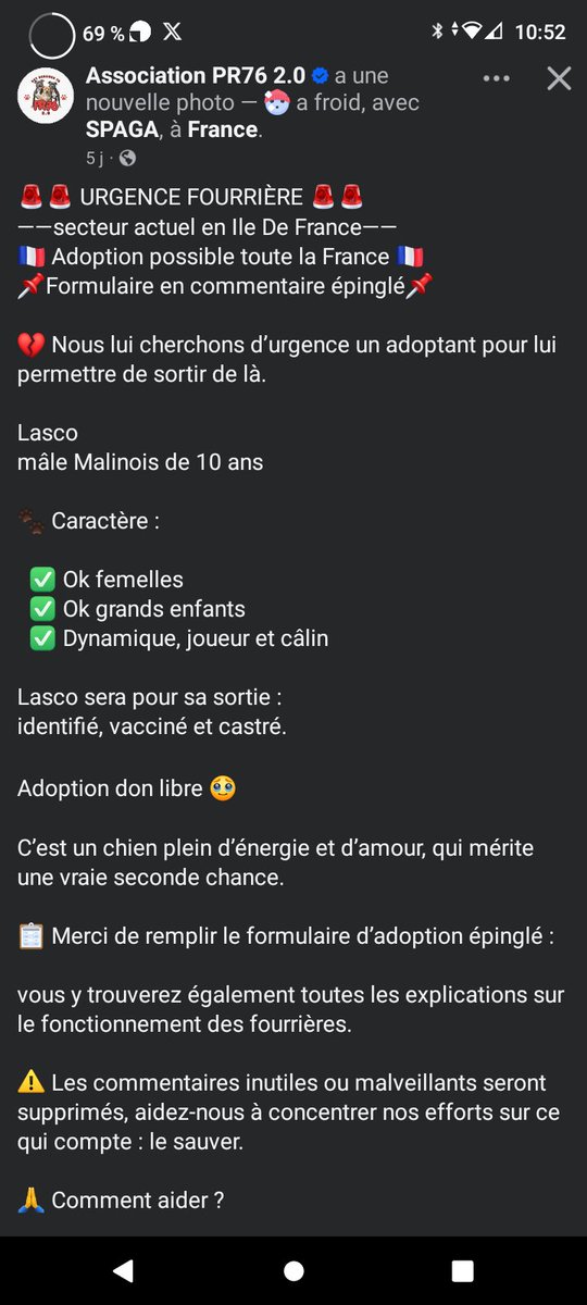 Don libre pour lui sauver la vie ⚠️ SOS euthanasie ⚠️⚠️Le magnifique Lasco (10 ans ) est toujours dans une fourrière d'île de France ⚠️ ⚠️ Recherche adoptant France entière pour lui sauver la vie⚠️ ⚠️ Association PR76 facebook.com/share/p/16Zii6…