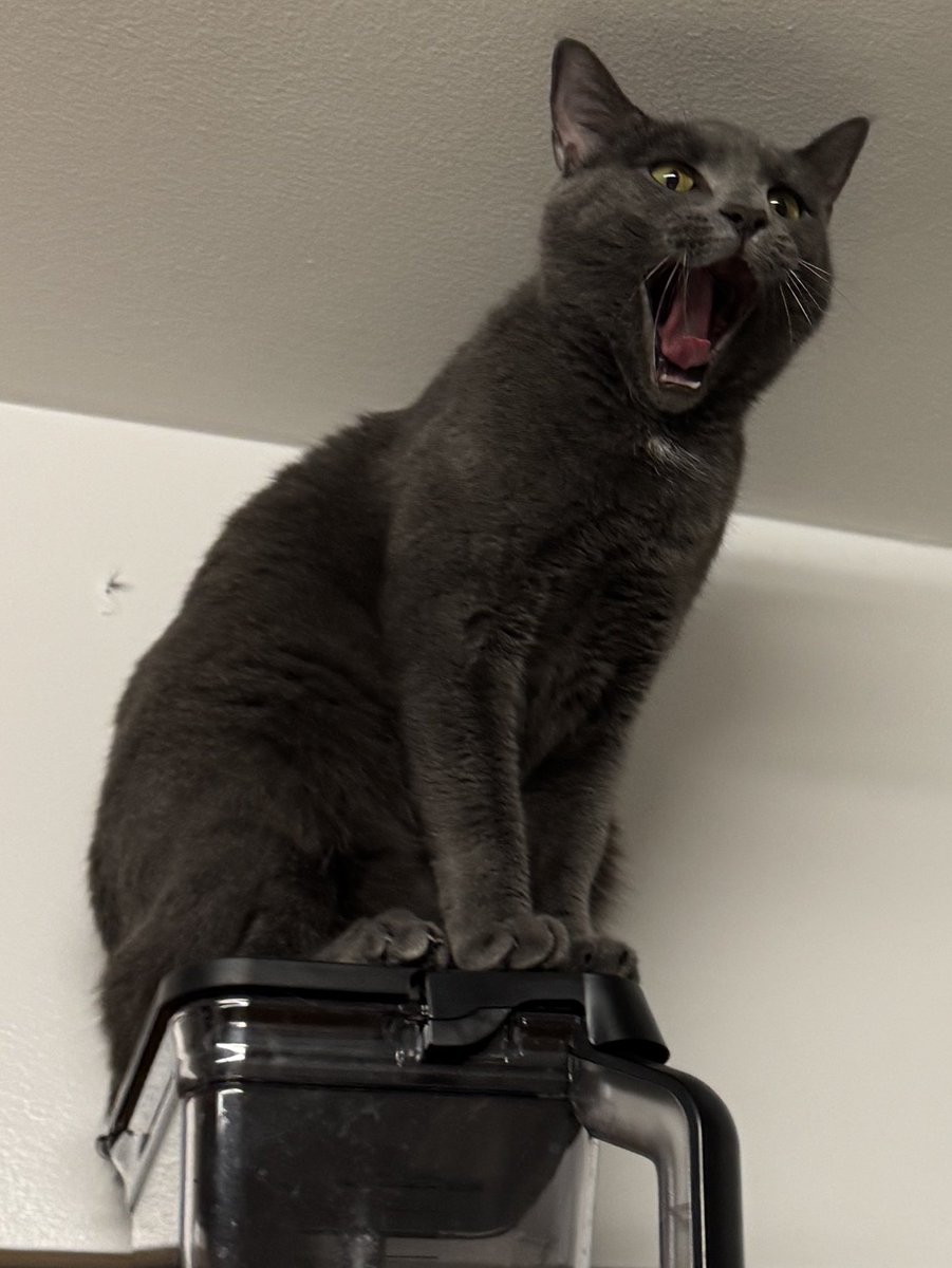 SarahSaysWrite tweet media