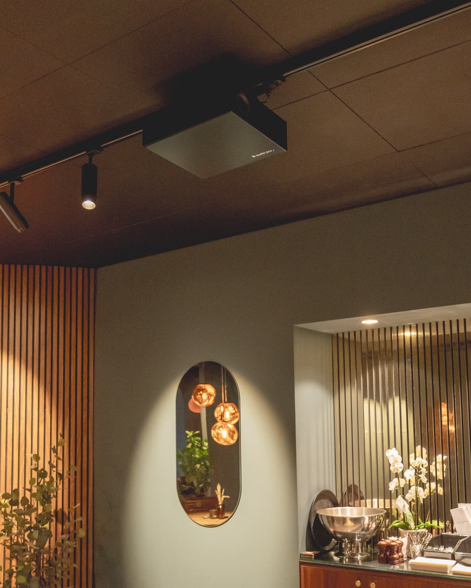 Wireless sound solution for your business.
Read more: audiopro.com