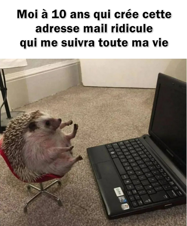 CopyTransFR's tweet photo. 😄 https://t.co/tWsj0IKU7y