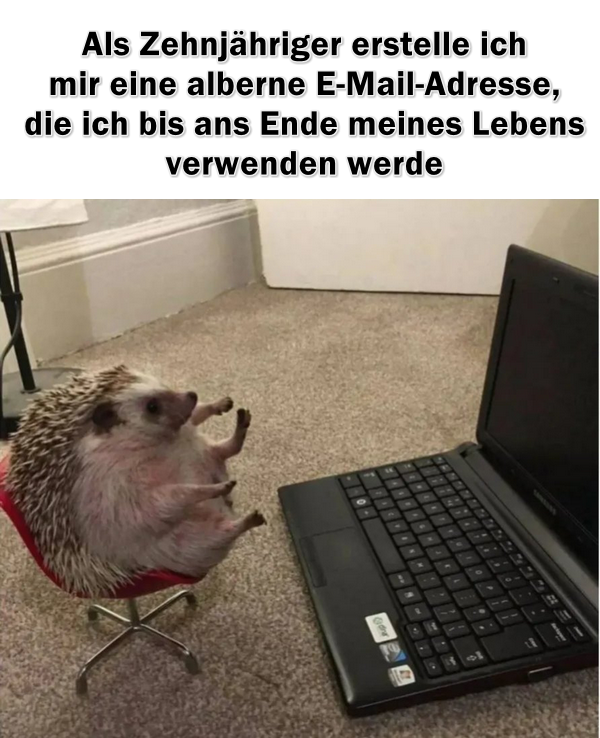 CopyTransDE tweet picture