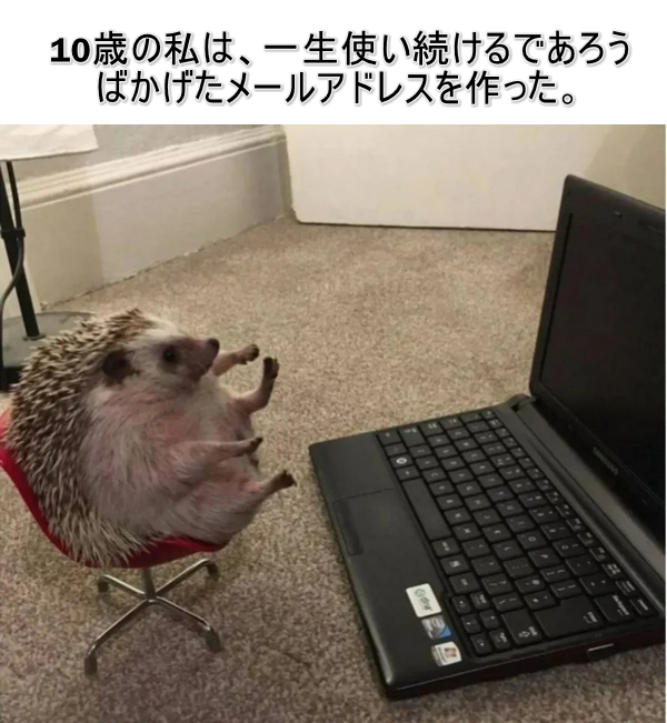 CopyTransJP's tweet photo. 😄 https://t.co/5MBlKXDCGU