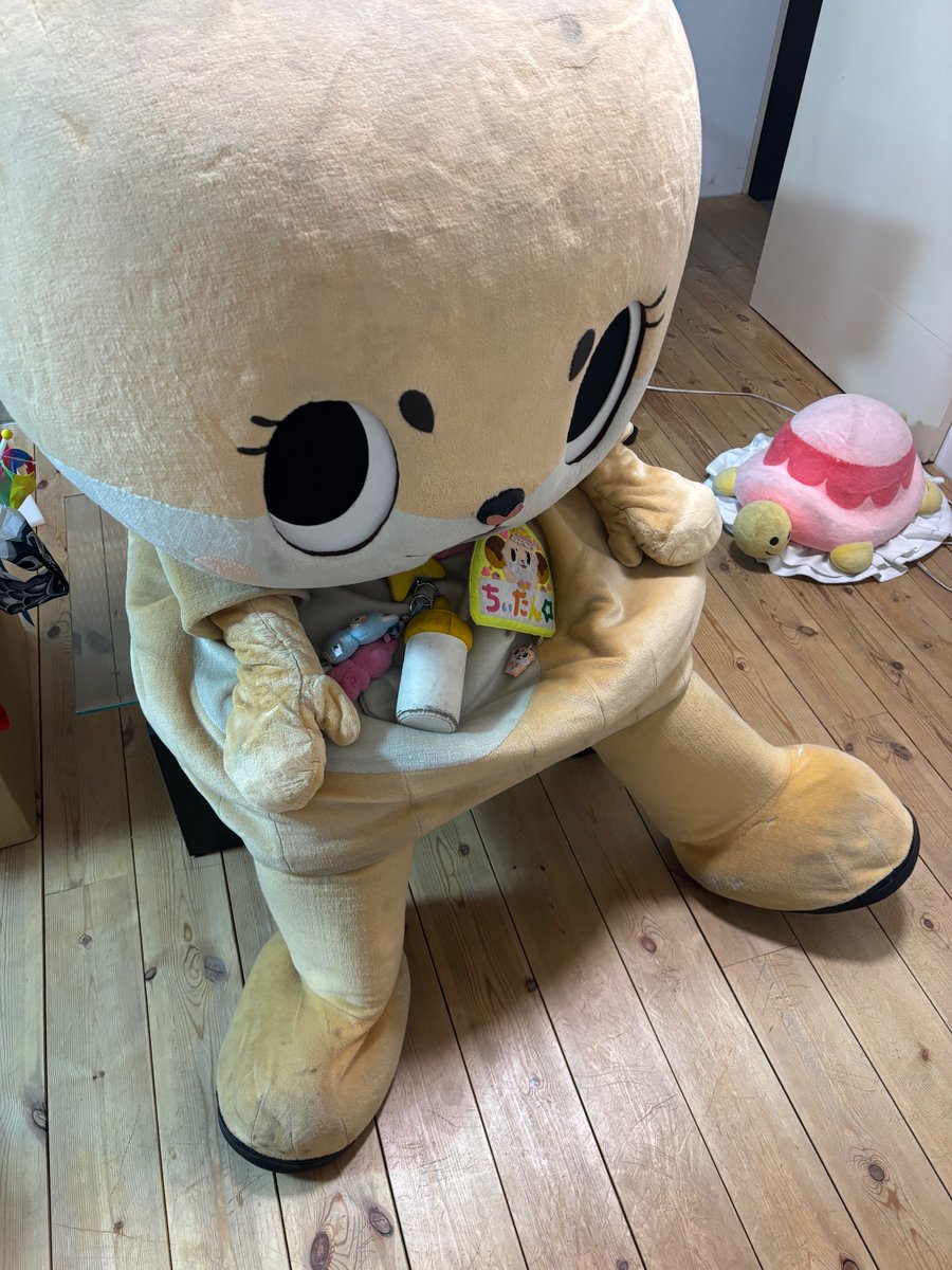 ❤️ちーたん様❤️ 公式：ちぃたん☆大阪 (@Chiitan_Osaka) / Posts / X