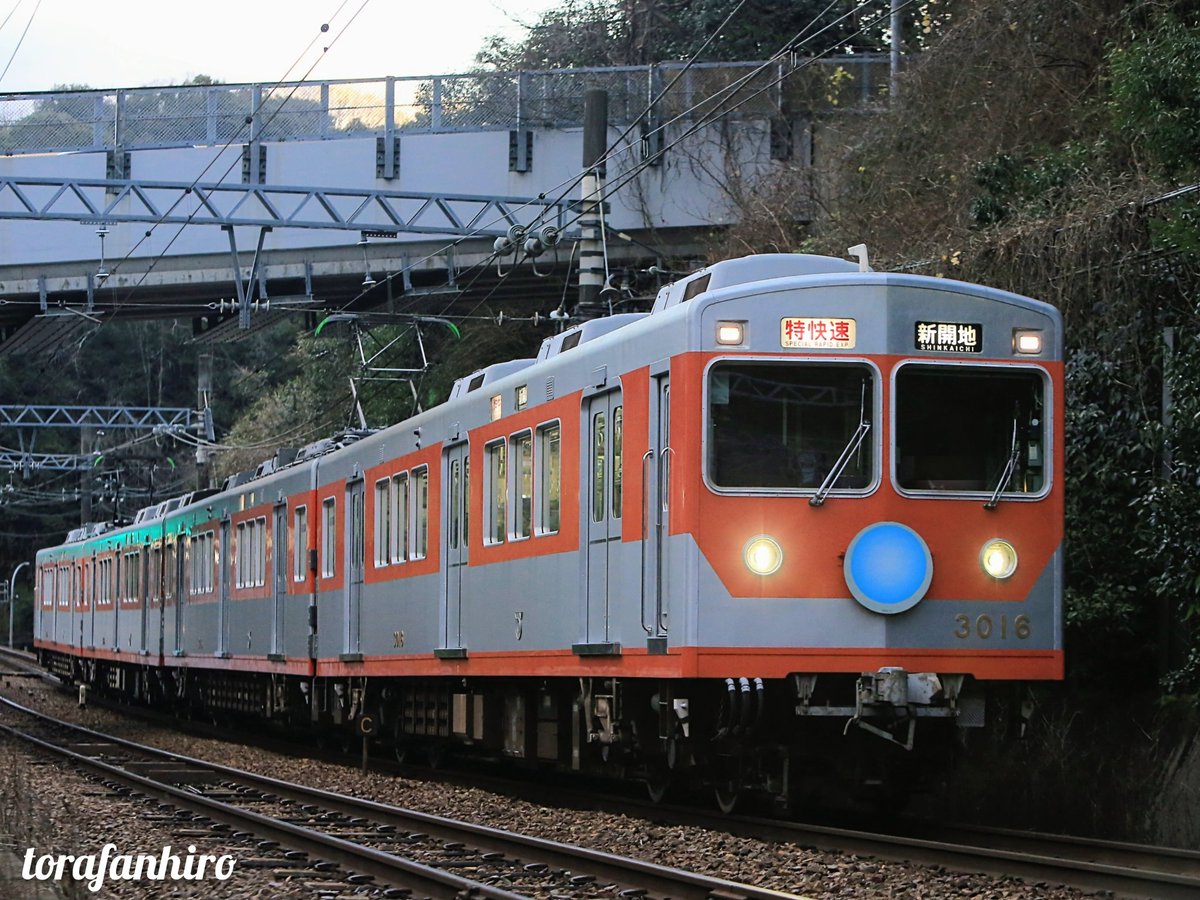 ヒロさん (@torafanhiro) / Posts / X