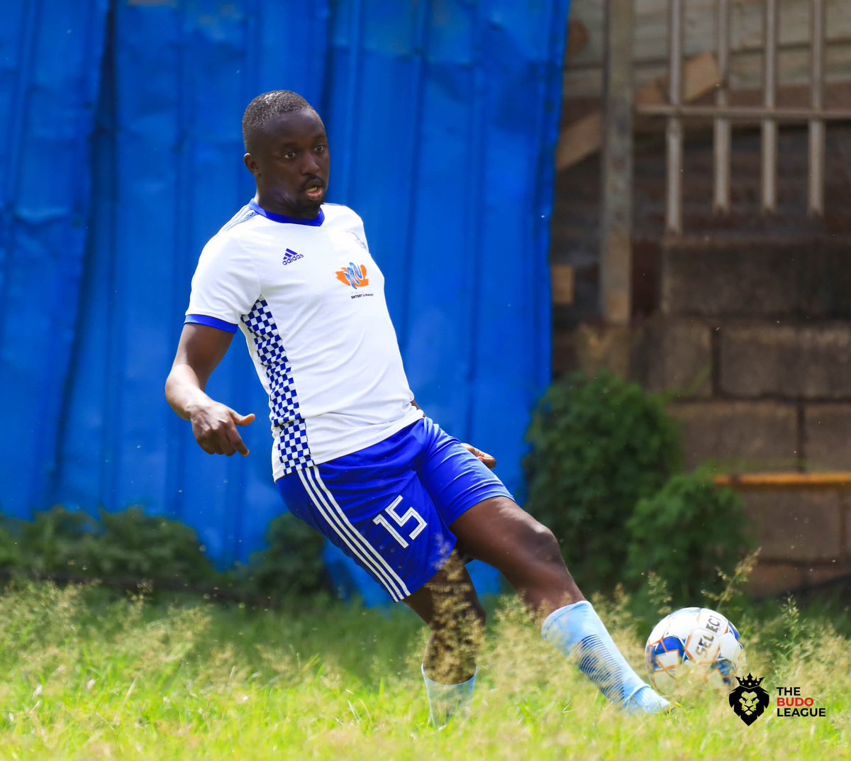 Midnight Express tweet media