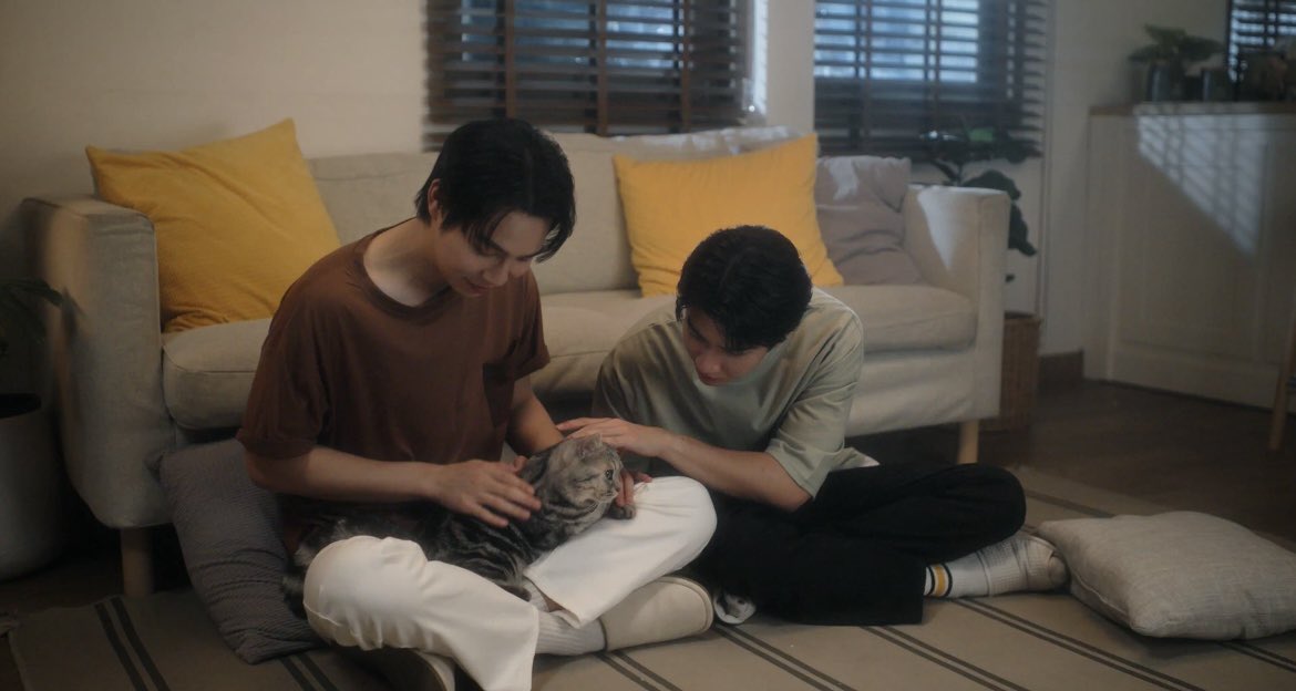 firstunggg_'s tweet photo. they’re already married in my head🥹

#CatForCash #FoundMyHome_MV 
#FirstKhaotung #เฟิร์สข้าวตัง https://t.co/0jNBS2YQRw