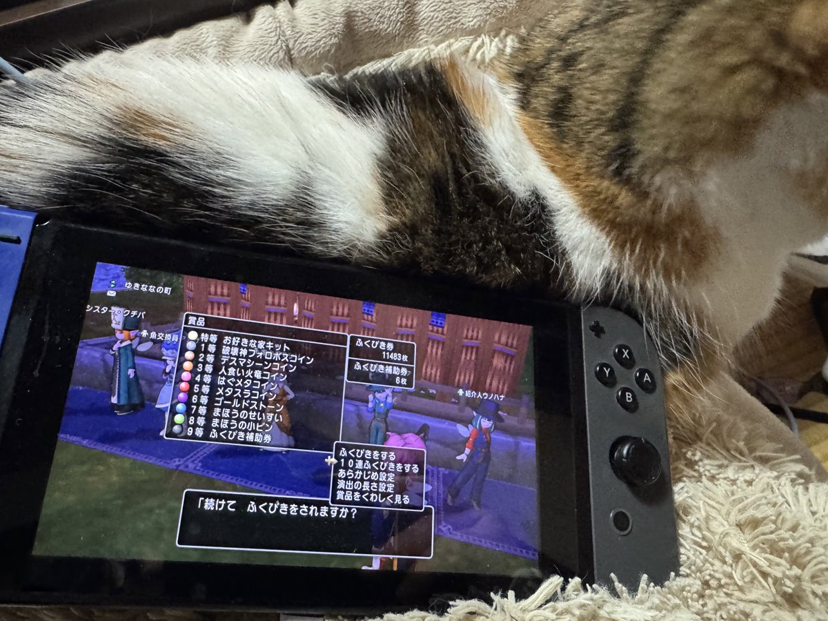 猫様に支えてもらいながらドラクエやってる🥺 1.5万枚分の福引きを10連ずつコツコツ回すのほんまだるい😇😇😇 #DQ10