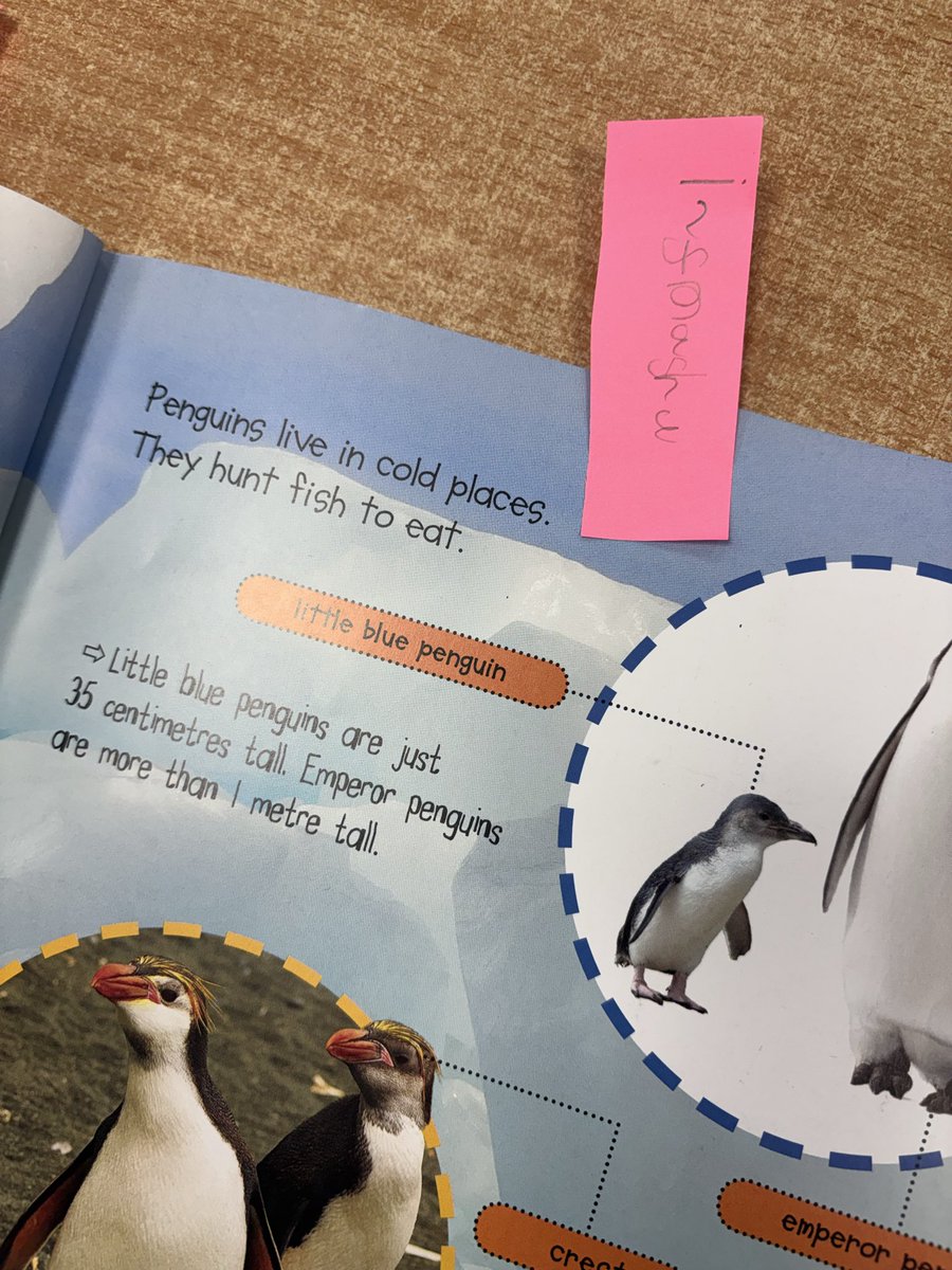 latimerprimary's tweet image. What features will  #ClassKB find in their non- fiction books? 
#funlearning #LatimerEnglish