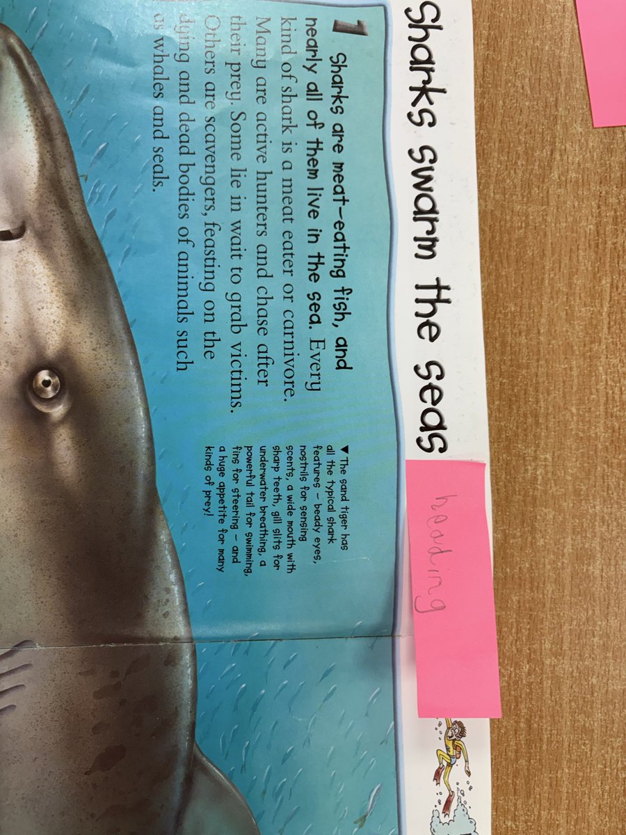 latimerprimary's tweet image. What features will  #ClassKB find in their non- fiction books? 
#funlearning #LatimerEnglish