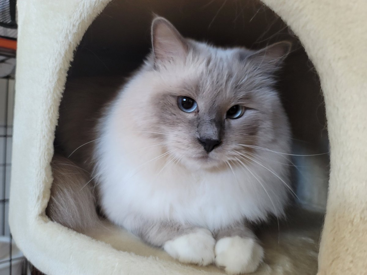 桃太郎4 (@FYiSdHid3l36277) / Posts / X