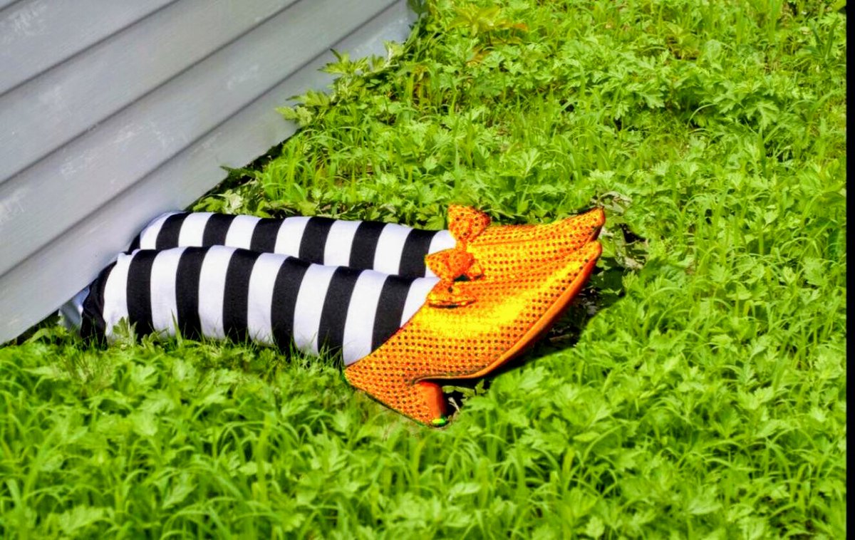 Dave Albright tweet media