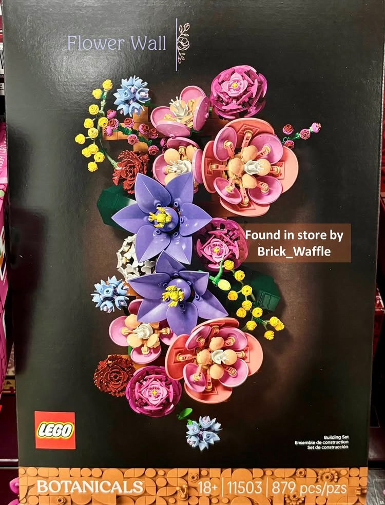 BlogsBrick's tweet image. Lego Botanicals: Flower Wall first look image, found in a retail store by Brick_Waffle 

879 Pieces / $89.99 / 1st February 2026

#Lego #Legonews #Legoleaks #Botanicals