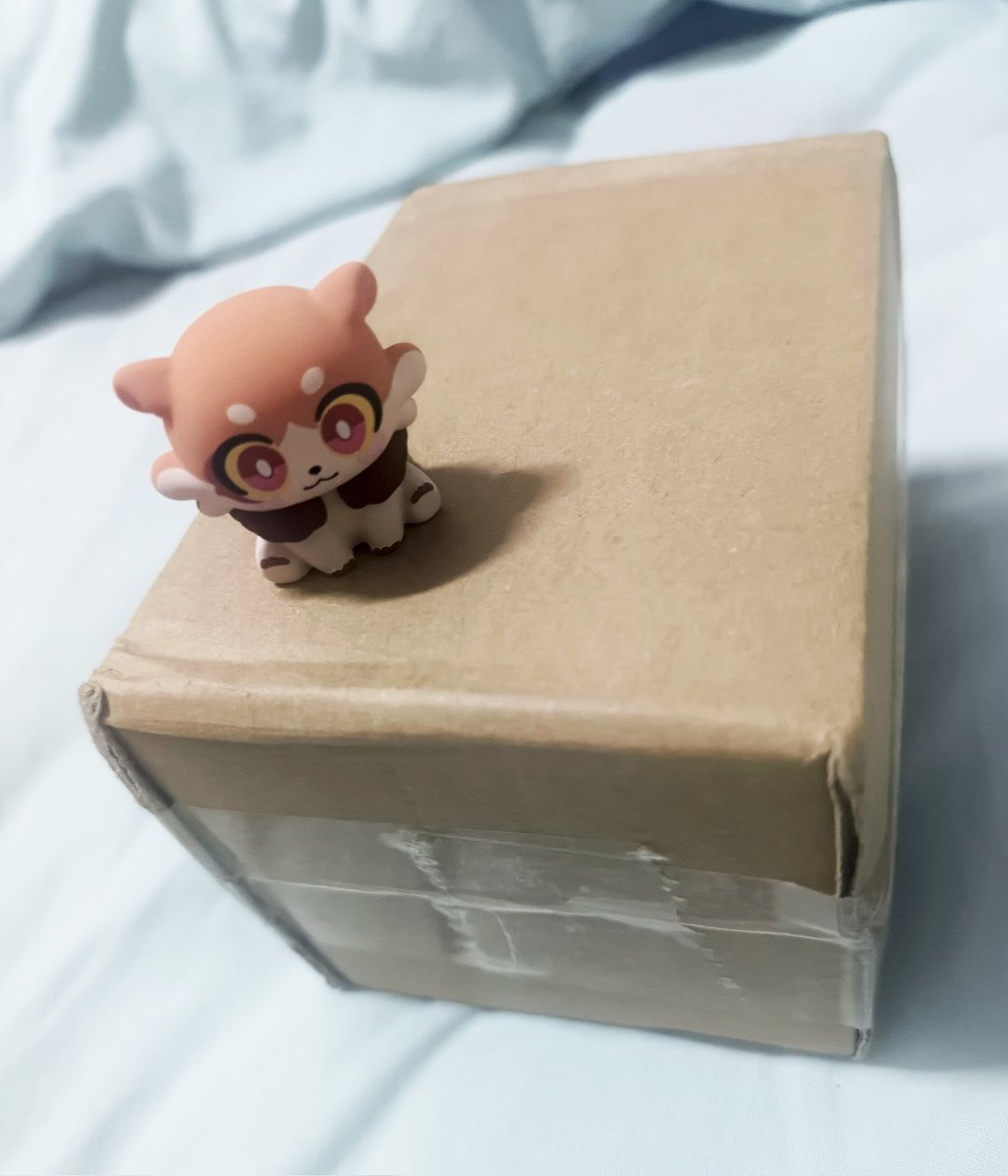 kai🌸 semi hiatus 🏥 tweet media