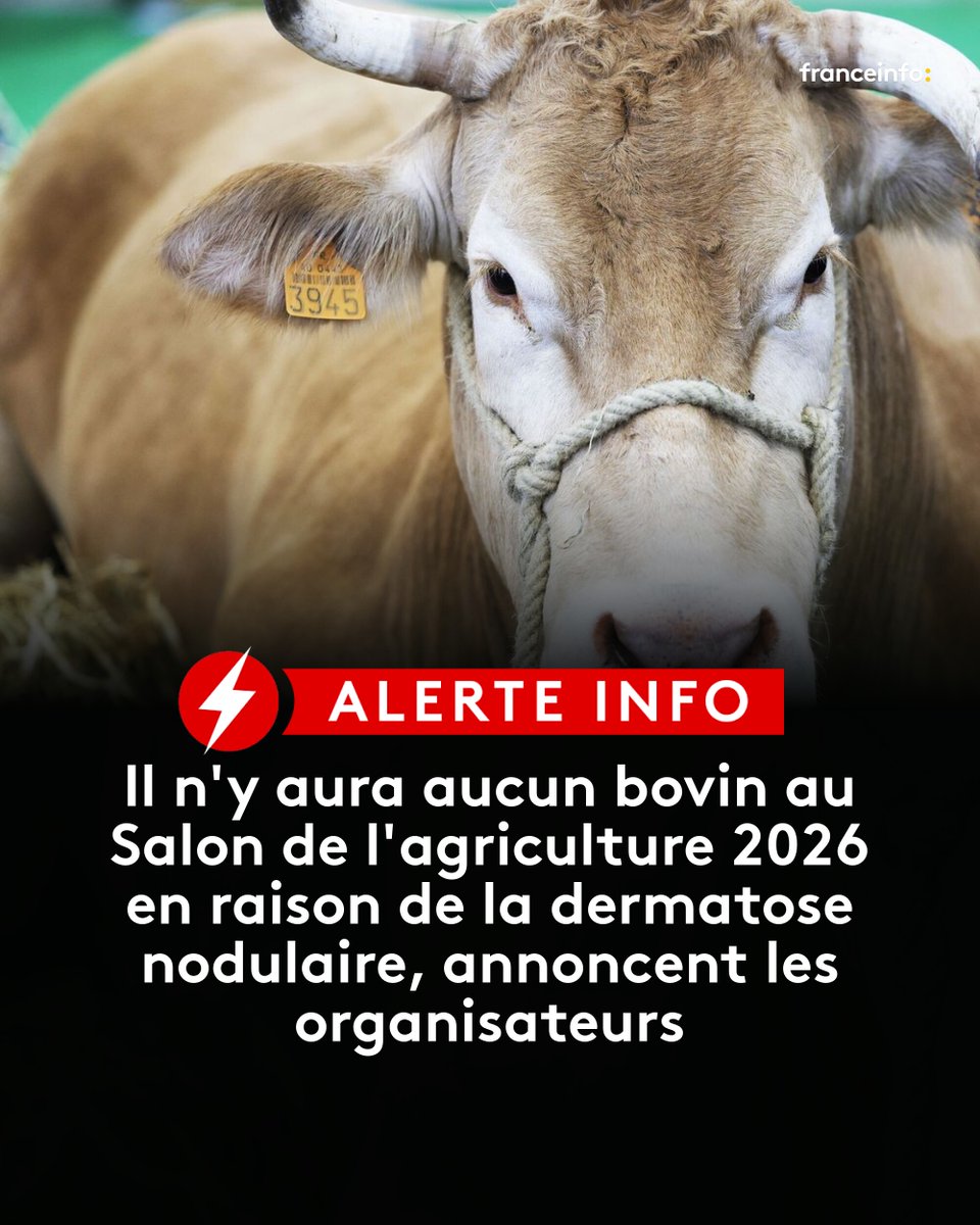 franceinfo tweet media
