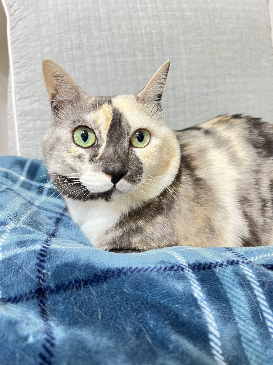 달콤이랑 만난지 곧 1234567년! ♥️