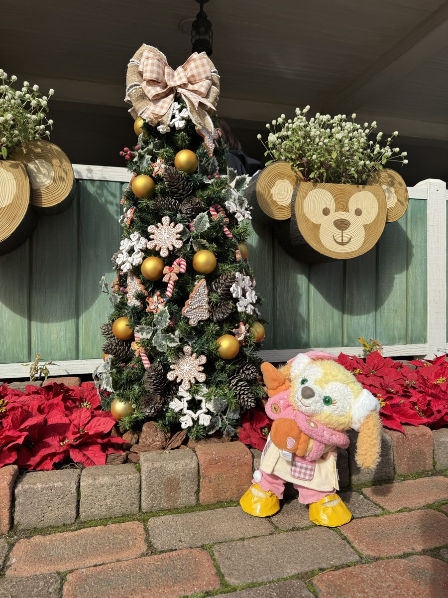 へくたいき tweet media