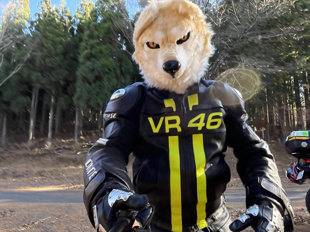 wolfmuzzle11's tweet image. わうううー