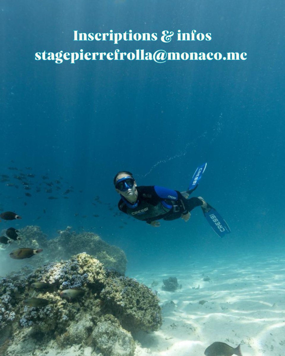 Pierre FROLLA tweet media
