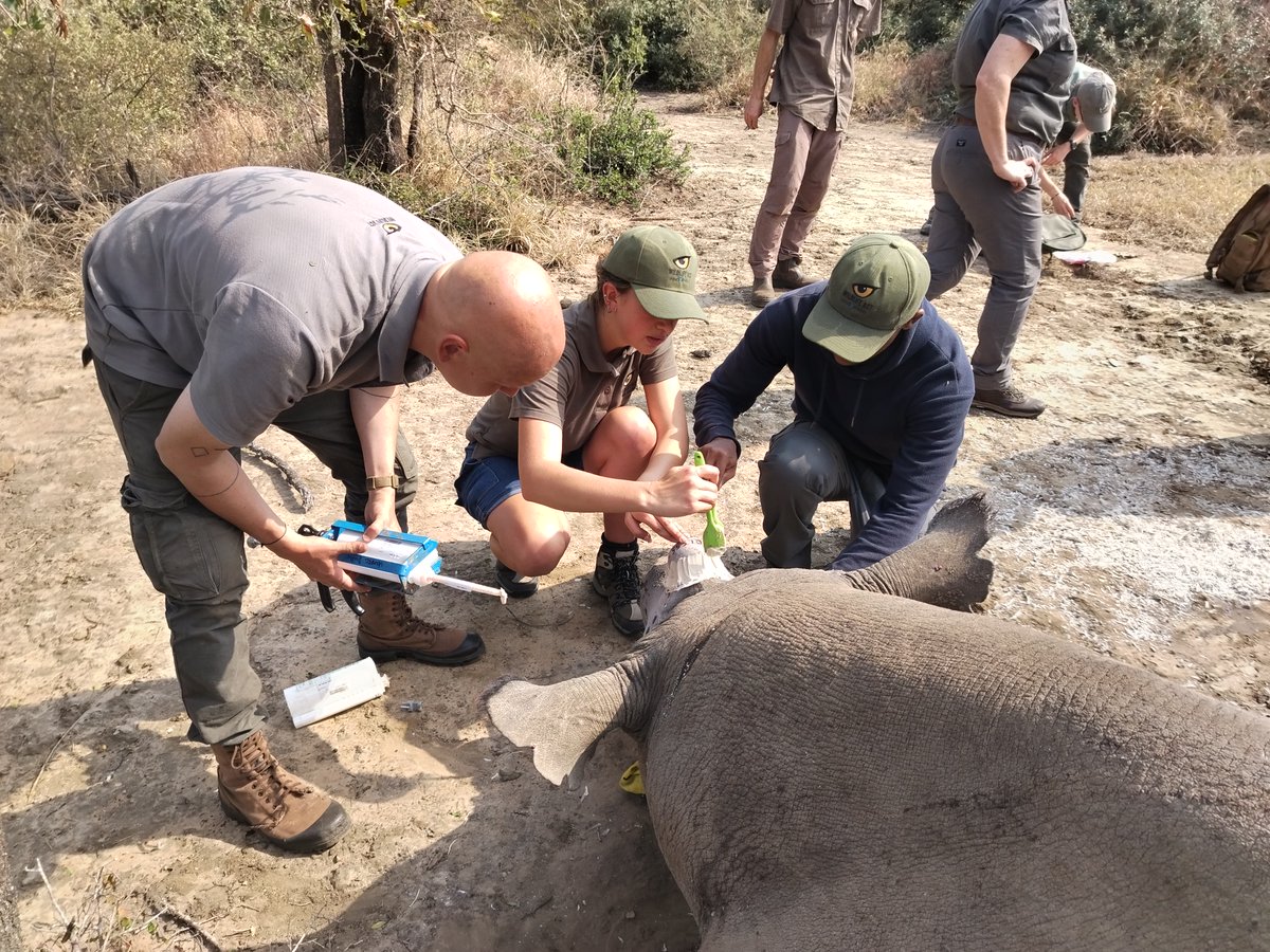 WildlifeACT Innovations tweet media