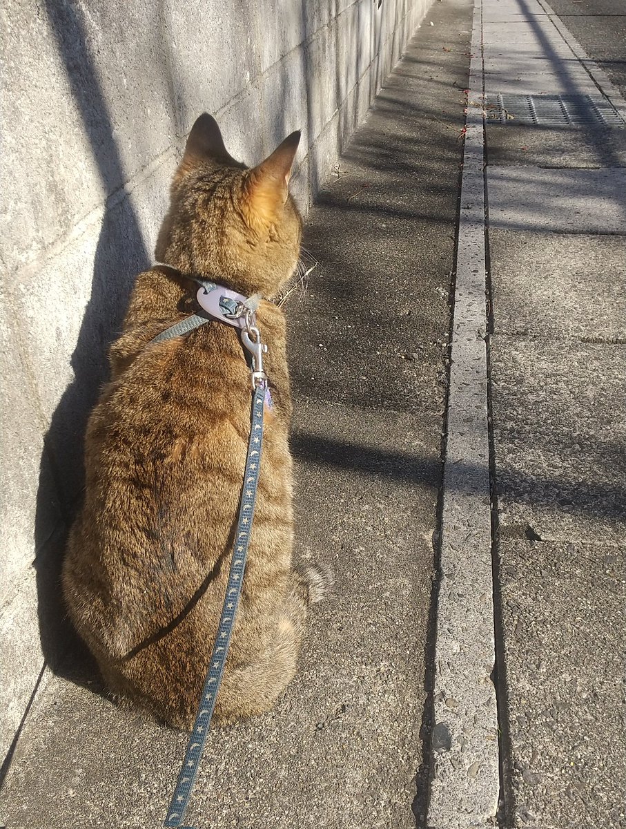 自宅周辺の警備はお任せあれ👮