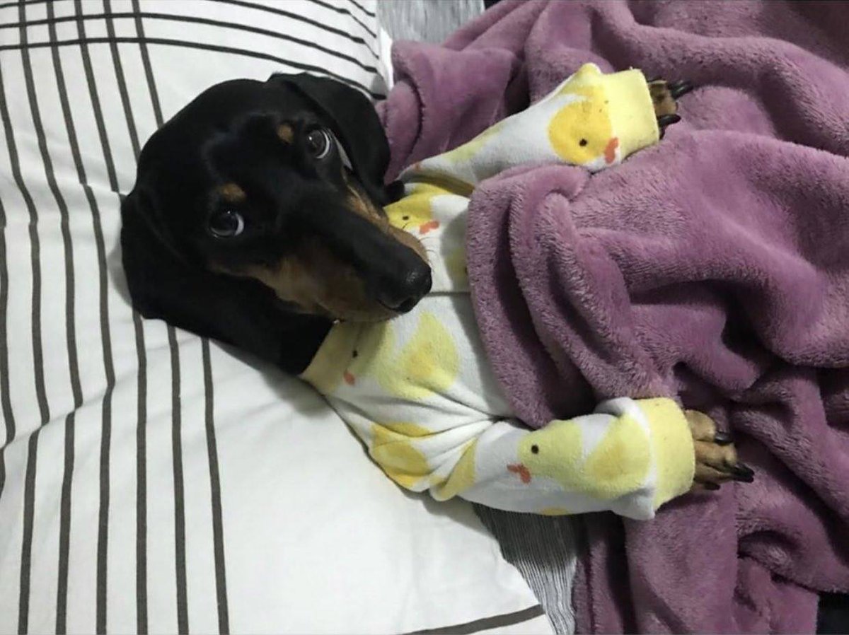 edaimlr's tweet image. não aguento mais estar doente 
não aguento mais ficar tossindo direto
não aguento mais não conseguir ir pra academiaaaaaaa