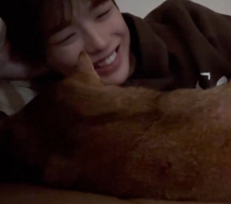 GanbareyoD's tweet photo. 天使₊꒰ა(·•︠‿•︡ ) ໒꒱ ‧₊˚⋆°˖➴ 🐱💕 https://t.co/SDnoPSiWB7