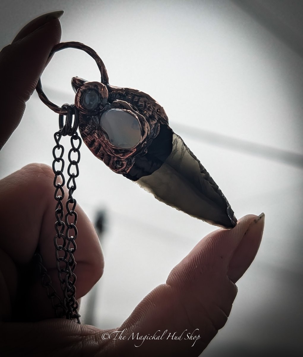 MagickalHudShop's tweet image. 🏹 THE PROTECTOR OF LIGHT 🏹

themagickalhudshop.co.uk/shop/THE-PROTE…

#ProtectorOfLight #ObsidianArrow #AngelAura #OpaliteJewelry #CopperElectroformed #SouthWalesArtisan #CrystalMagick #SpiritualProtection #WitchyVibes #HandmadeTalisman #OneOfAKind #PsychicShield #RootChakra #HighVibration
