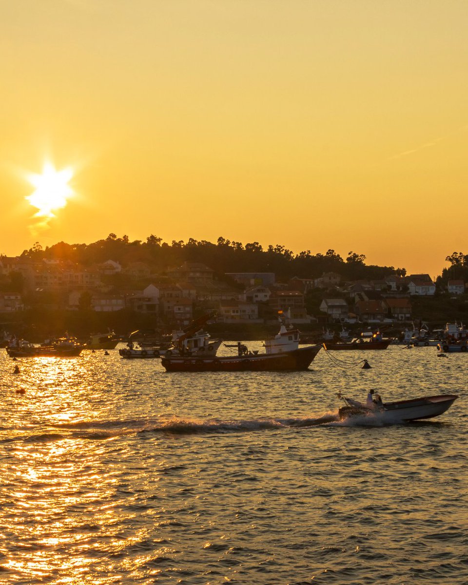 Hoy rendimos homenaje a quienes mantienen viva la tradición y cultura del mar. ¡Feliz Día Mundial del Pescador! 🎣 

#DíaMundialDelPescador #ConservasPortomar #Portomar