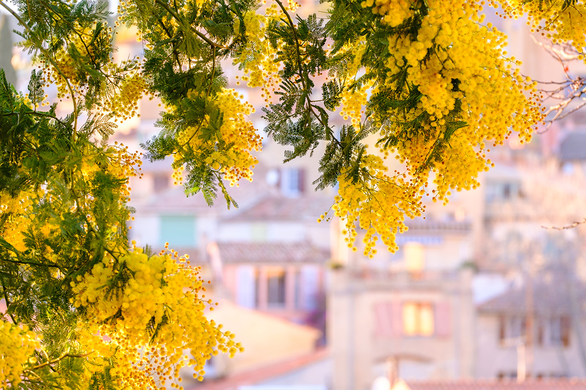 Explore France tweet media