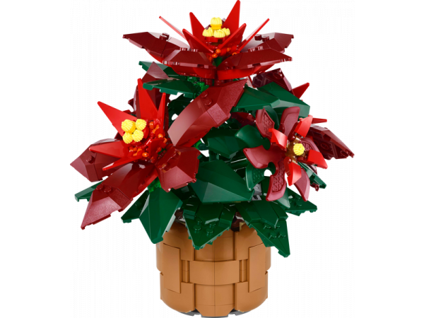 Brickwatch_BE's tweet photo. Betere prijs gezien voor Lego Kerstster (10370).

Nu €44.27 (-€5.72, RRP -11%)

Decoratieve LEGO® Icons Kerstster bouwset voor volwassenen

https://t.co/gtXM0oOzVo https://t.co/NYo27eejjq
