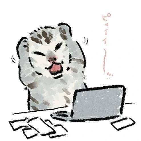 neko43 tweet media