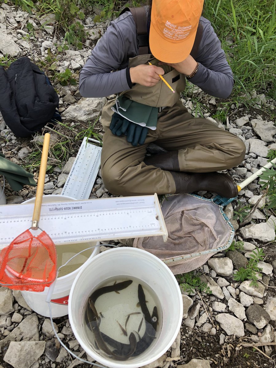 Conservation Evidence tweet media