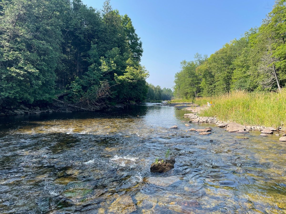 Conservation Evidence tweet media