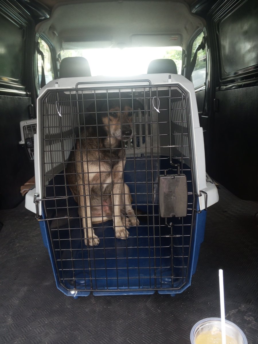 Finally. Semoga beruntung &amp; dpt kehidupan lebih layak ya best ❤️