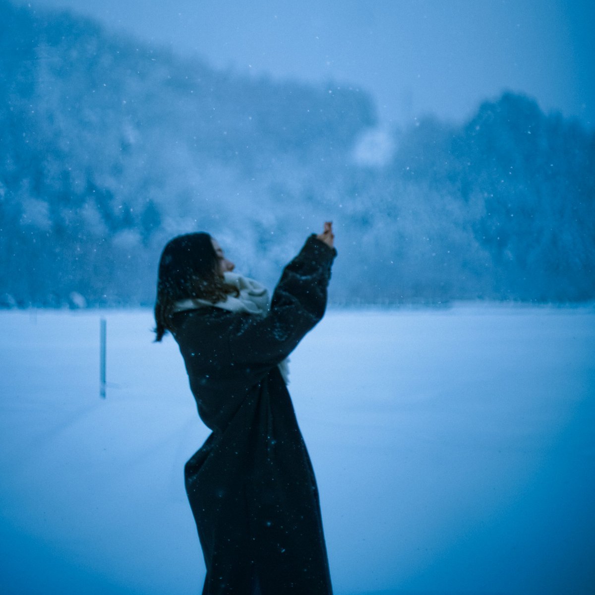 kogaya7's tweet image. 白い雫は儚くも