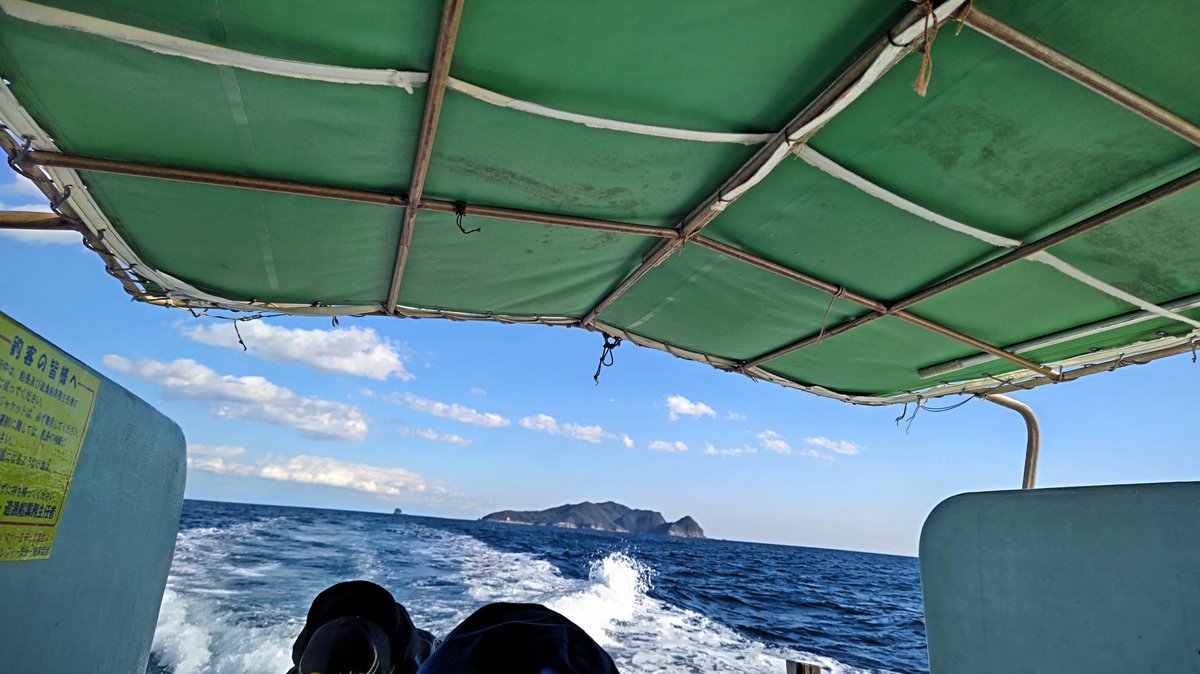 tureture55's tweet photo. 西南西の爆風の中  牟岐大島へ行ってきた。
風裏のポイントで終日竿が出せた。
３月中旬の陽気になり暑かった💦
まだ ほっそりした魚体で小さい割にはよく引く😑
MAX41.5〜32㌢８尾イサギ３尾。 https://t.co/REdsIAJobh