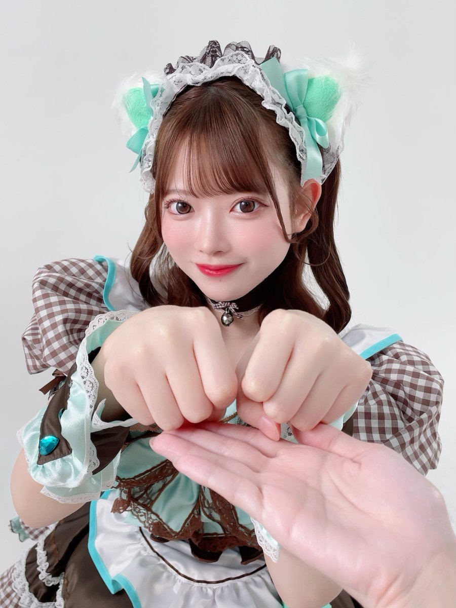 にゃ Amazon.co.jp: 『にゃーにゃ photo book from 週刊ニュース新書』 (綴