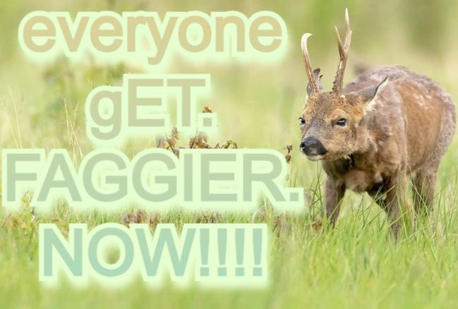 mfing deer girl 2sday tweet media