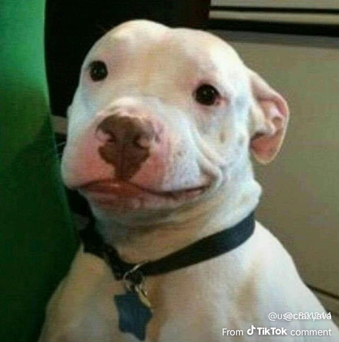 Bootlegkhaled's tweet image. No one will ever know what I’m really thinking, I just take one day at a time