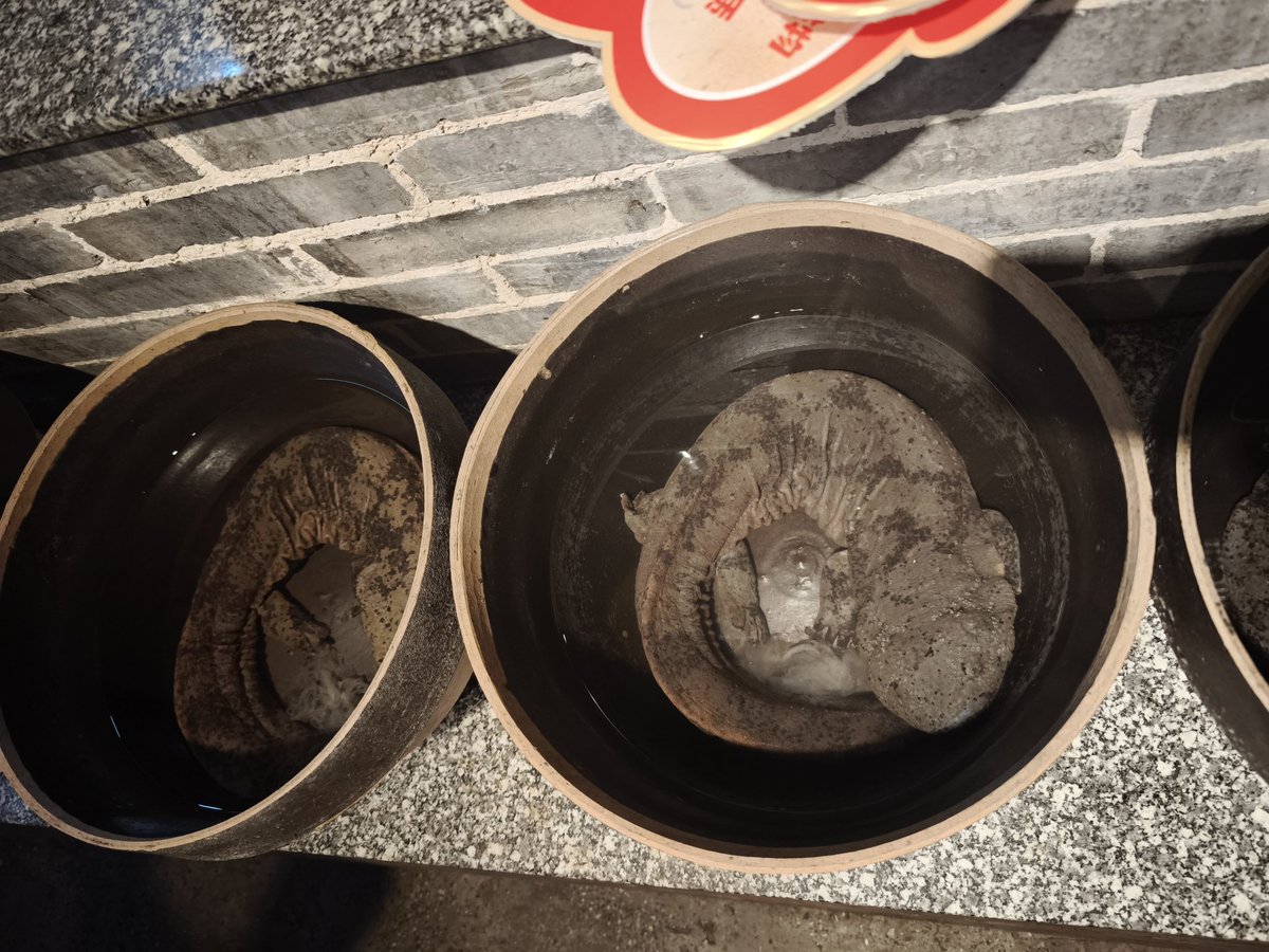 koishicamp's tweet photo. 初めてオオサンショウウオを食べた。淡白でぷりぷりしてて美味しかった https://t.co/nrJBLlgLHI