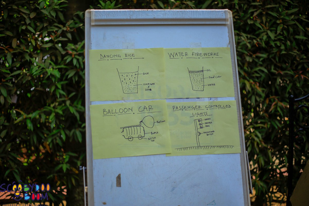 STEMGENIUS tweet media