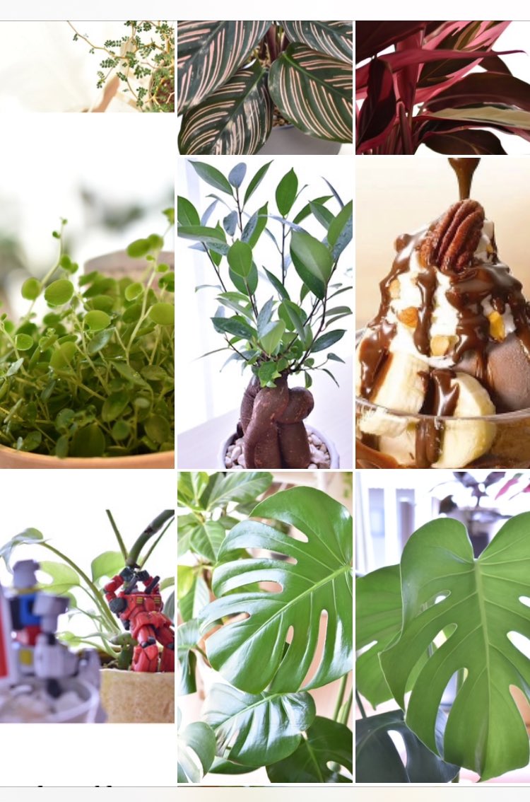 わかります。
スマホの壁紙は画像40枚がランダムに入れ替わる設定にしててロイホも出てくる。最終目的はメニューを運ぶこと😊