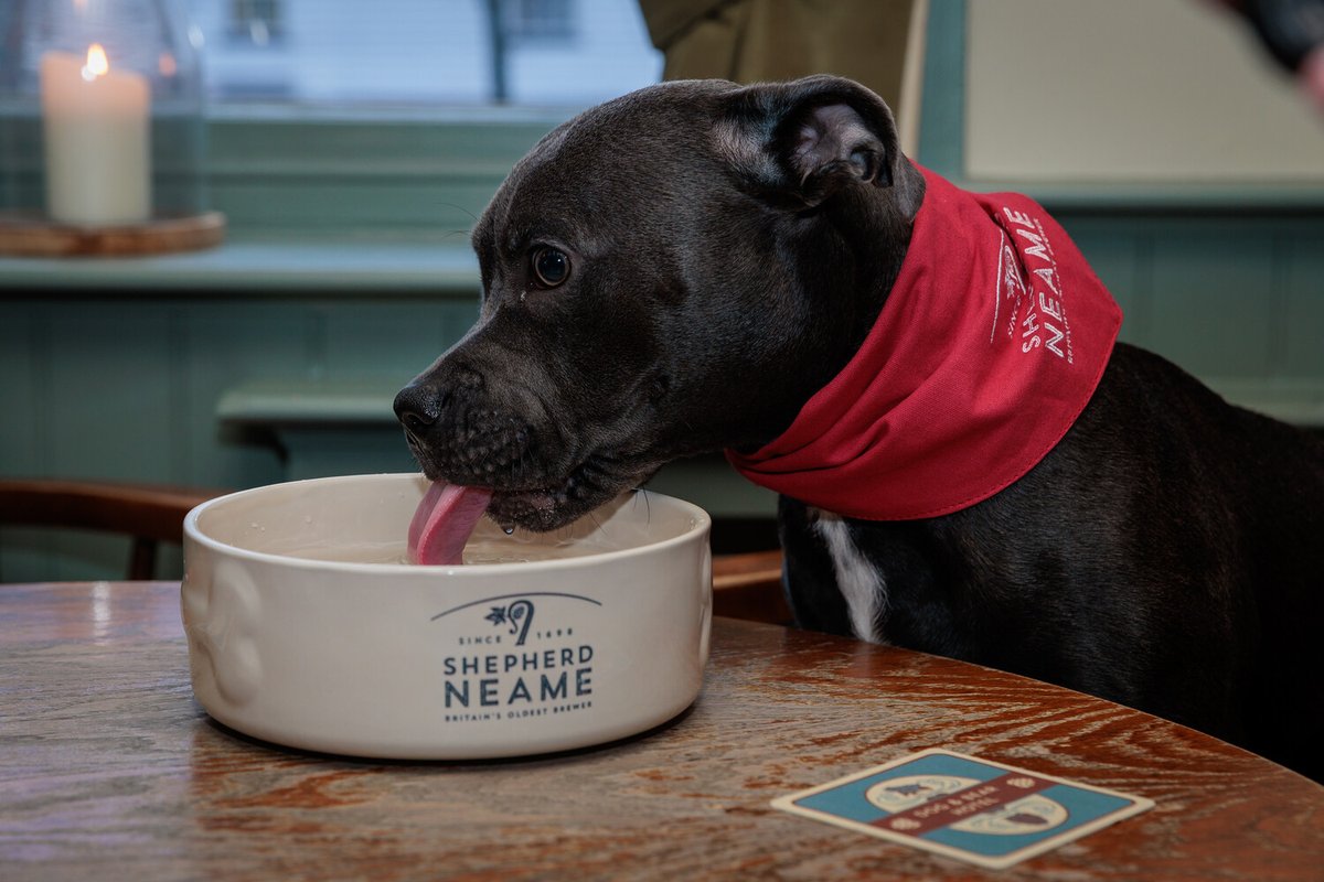 Angela Cole 📝🐾🌊🍂 tweet media