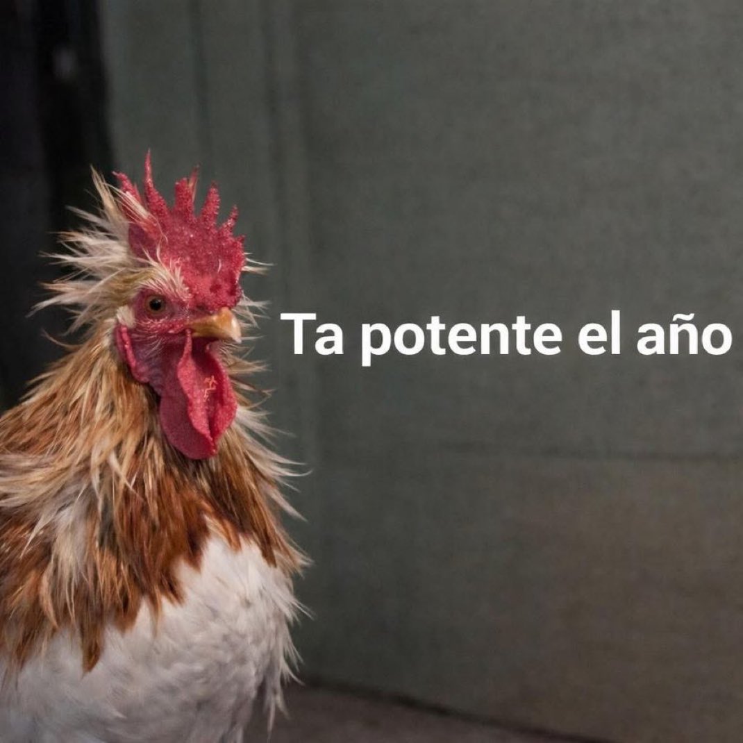 skereunpesado's tweet photo. 13 de enero https://t.co/AQyPYNSKIN