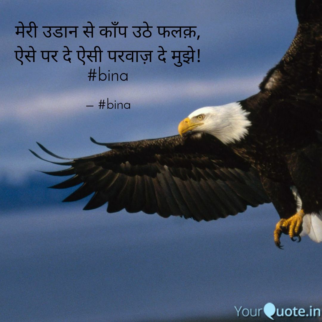 binakapur's tweet photo. #bina #Shair #Parwaz https://t.co/wZr2H2LARh