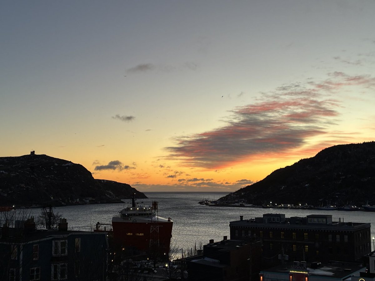 Francesca Swann tweet media