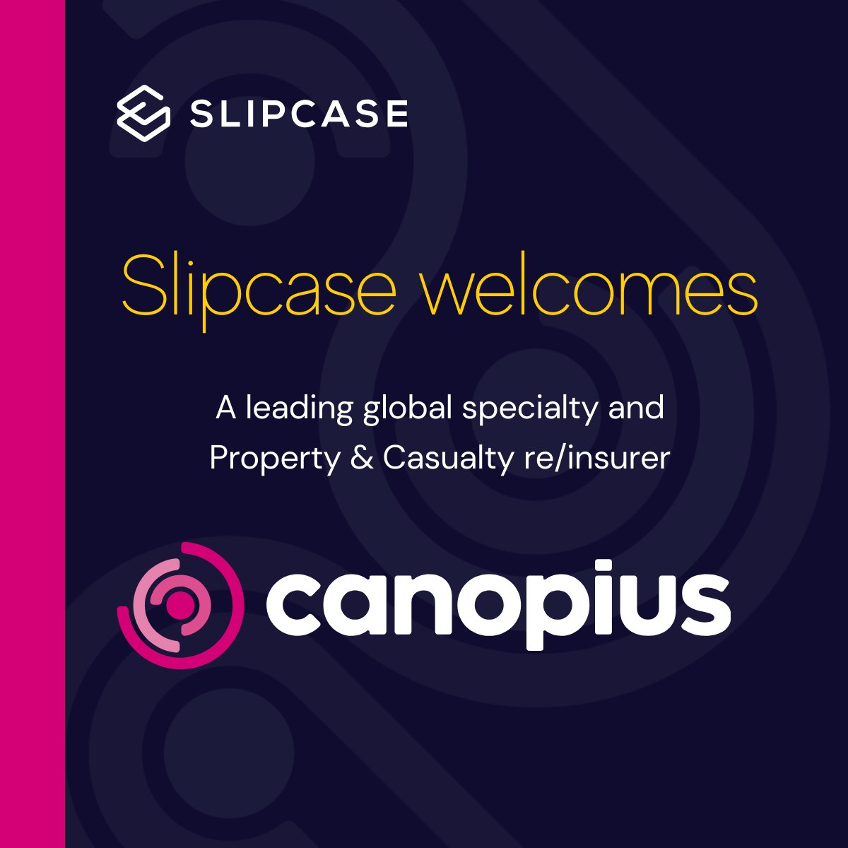 Slipcase tweet media