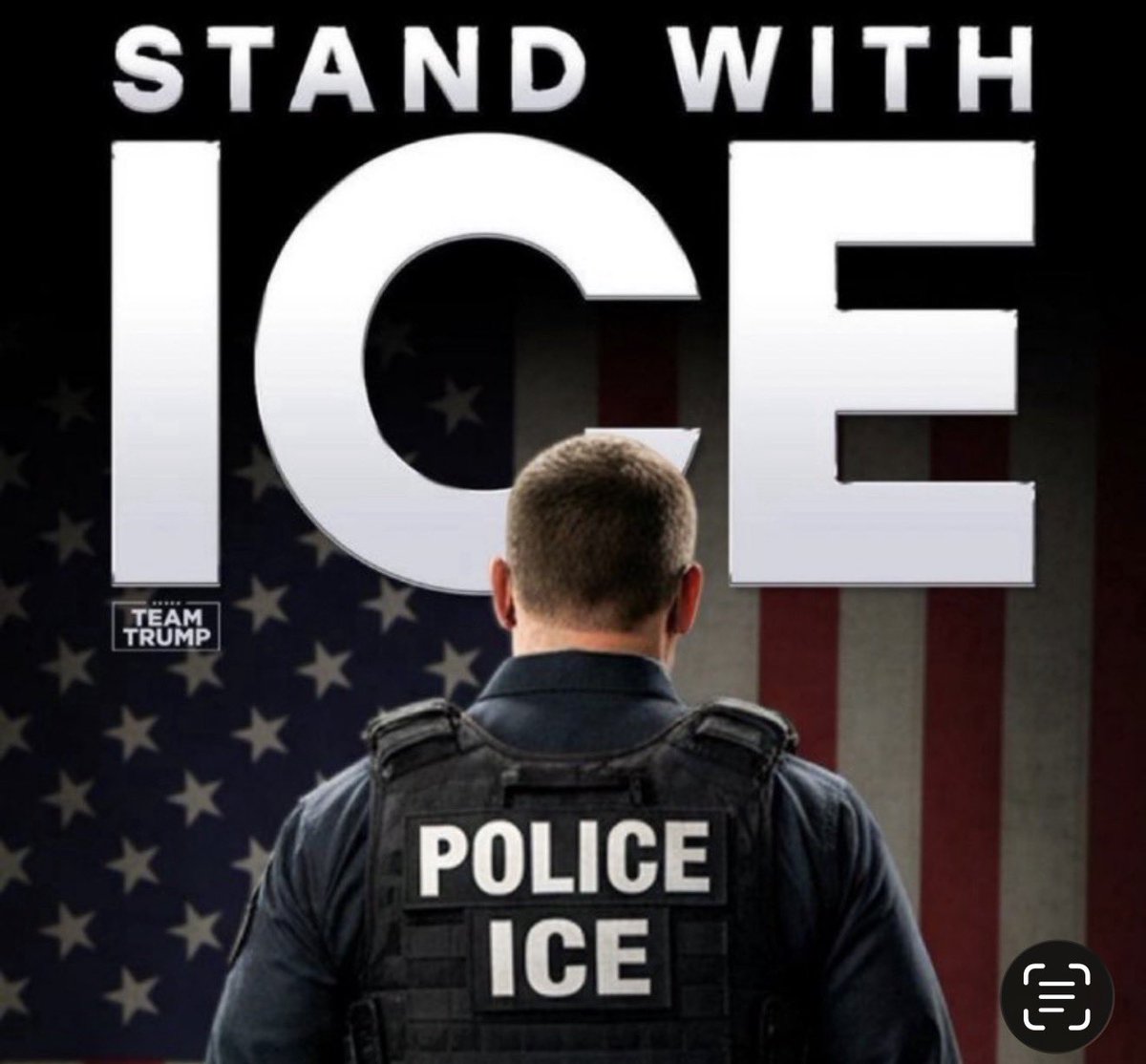 MAGApappabear's tweet image. 