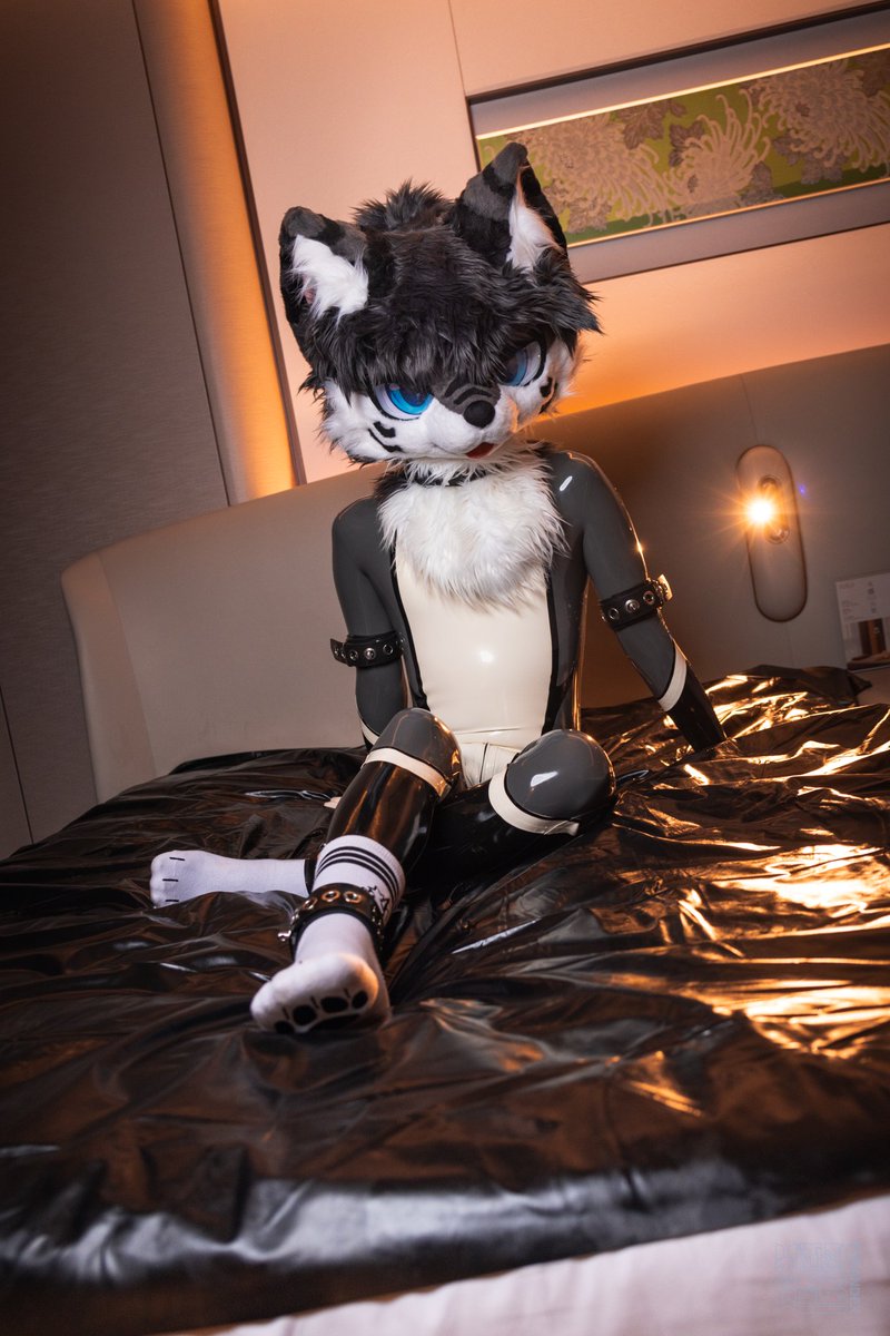 纽特又又又困了 tweet media